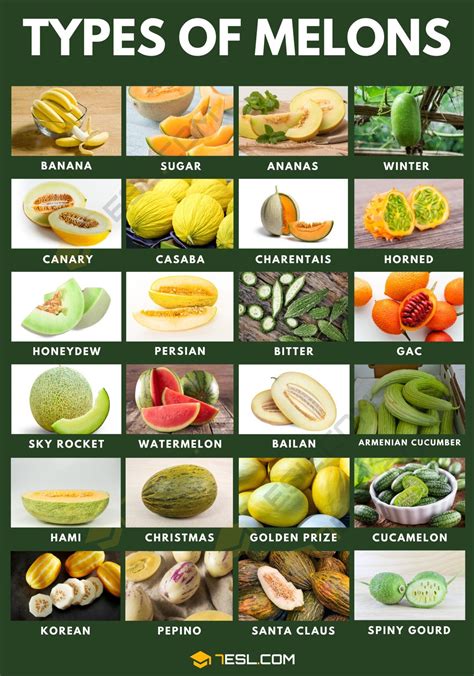 13 Different Types of Melons